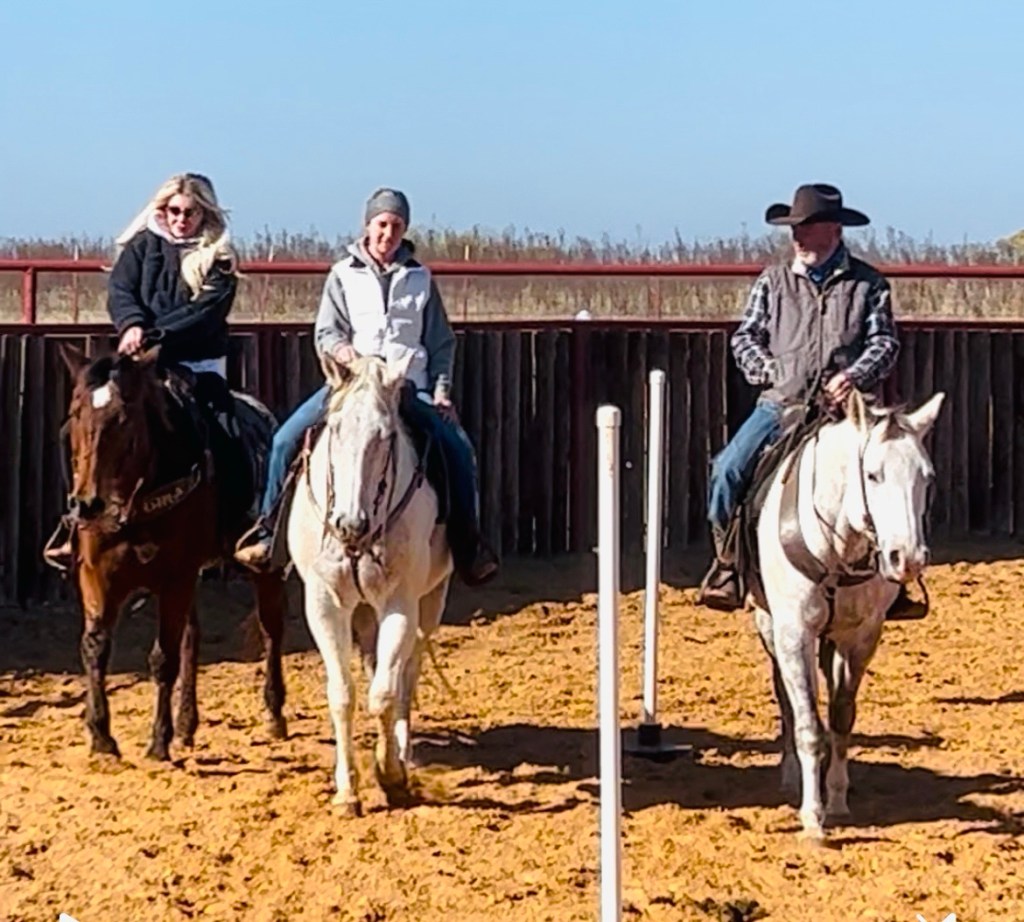 Riding lessons – find a good&nbsp;trainer