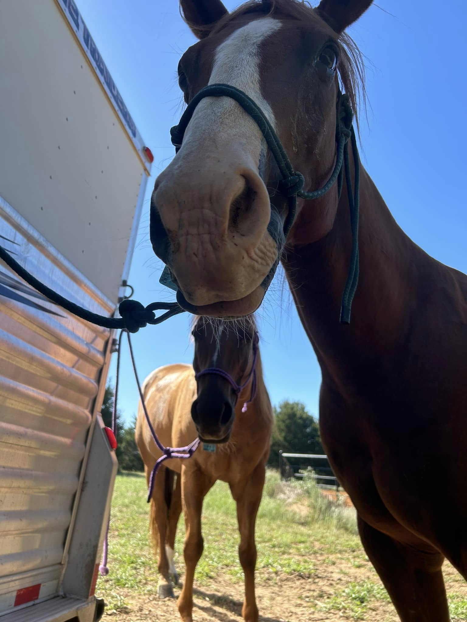 Come along on a ride with us