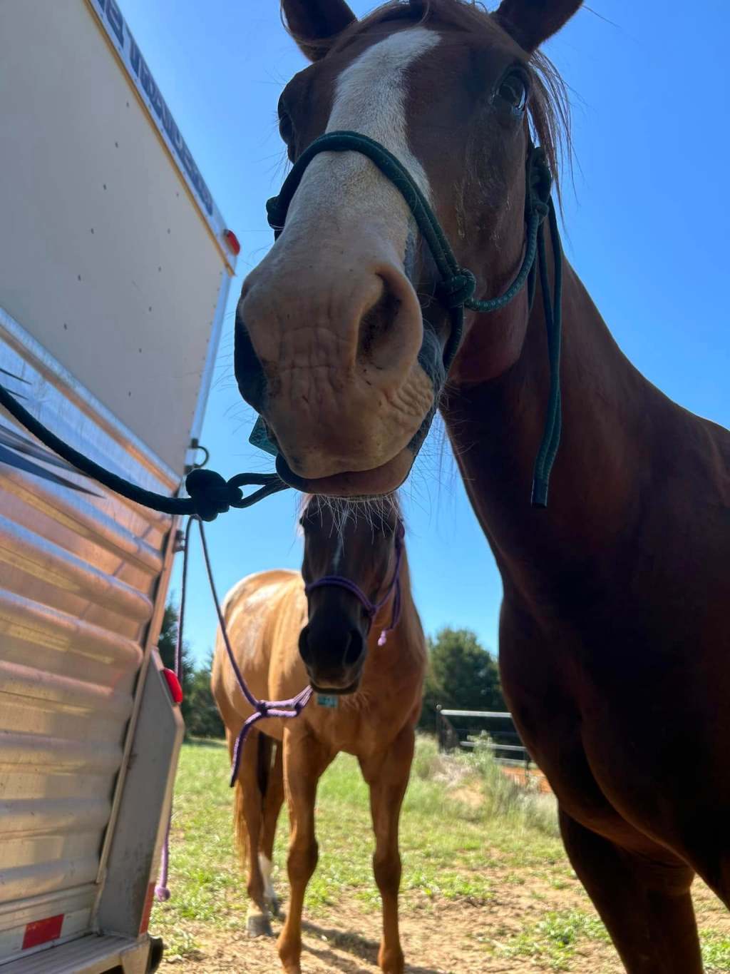 Come along on a ride with&nbsp;us