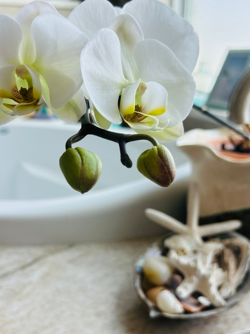 New Year’s Day&nbsp;Reset