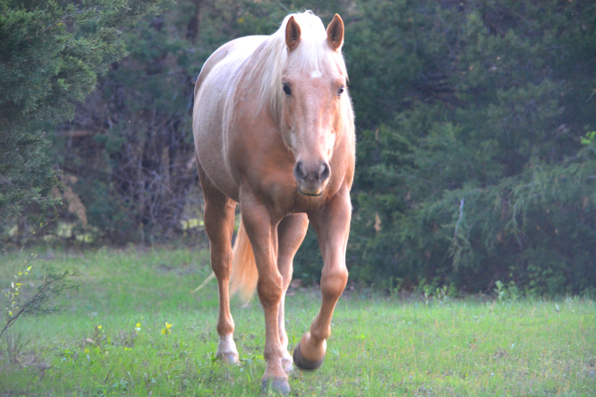 A little experiment and a possible solution to a common barn issue